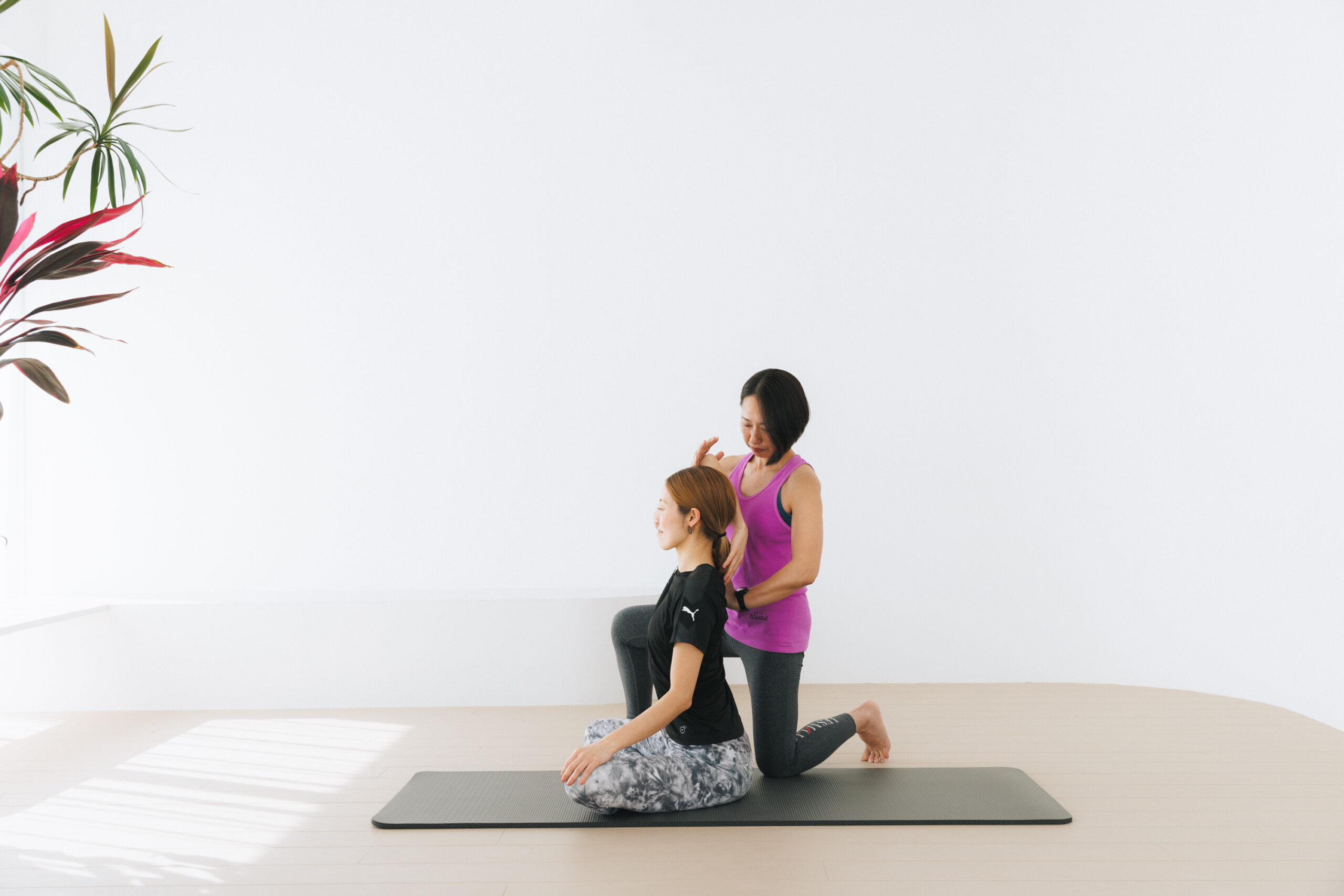 パーソナルストレッチ
湘南パーソナルストレッチ
藤沢ストレッチ