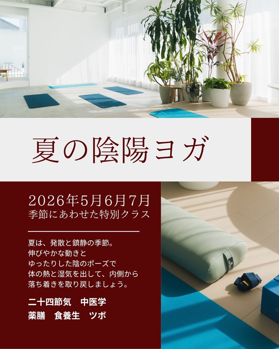 陰陽ヨガ 夏の養生